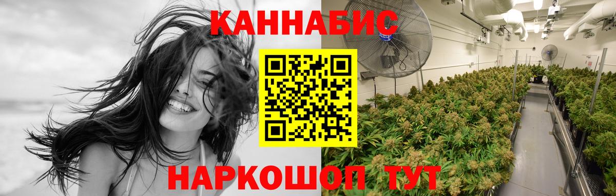 Бошки Шишки семена Унеча